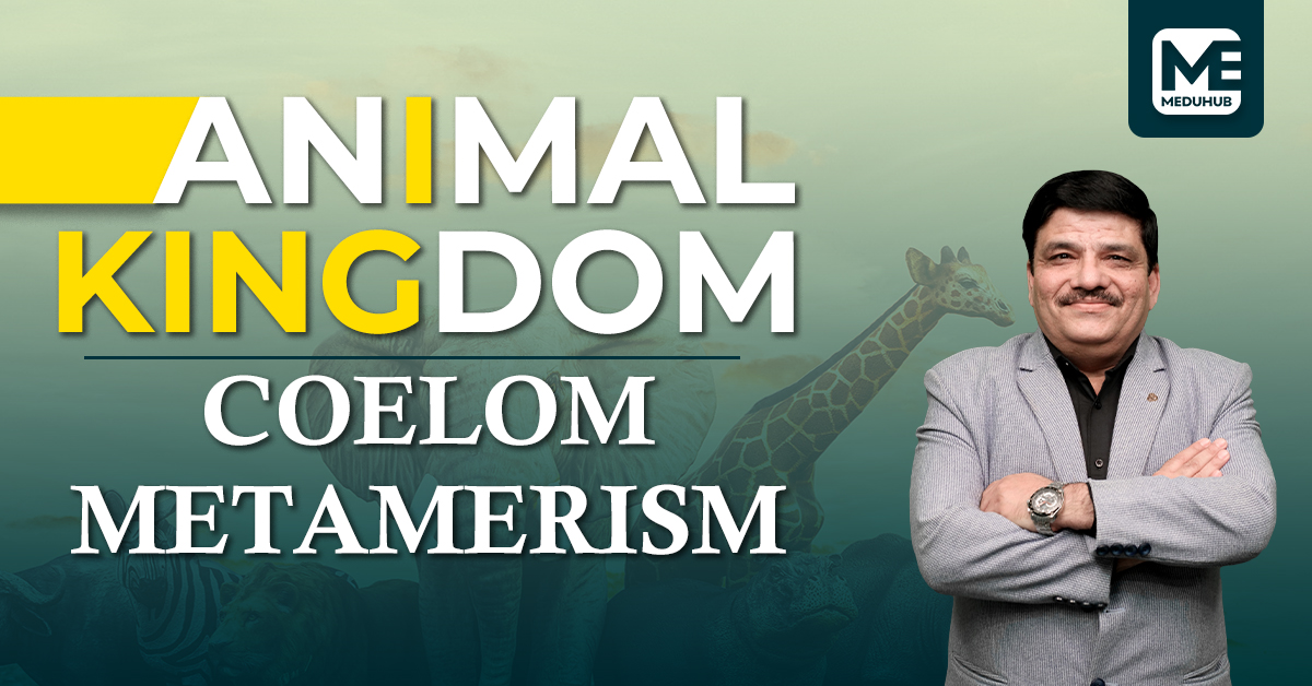 ANIMAL KINGDOM - COELOM - METAMERISM 